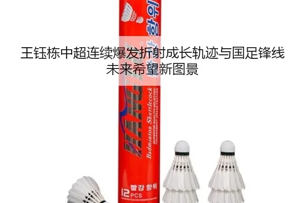 王钰栋中超连续爆发折射成长轨迹与国足锋线未来希望新图景